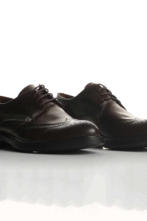 Classic Brown Shoes