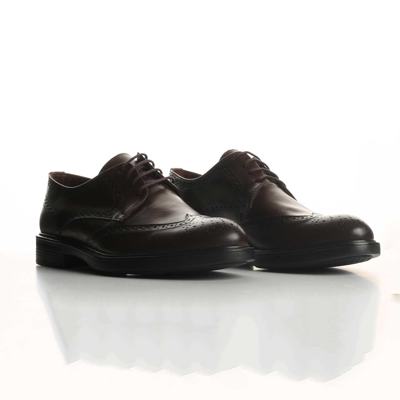 Classic Brown Shoes